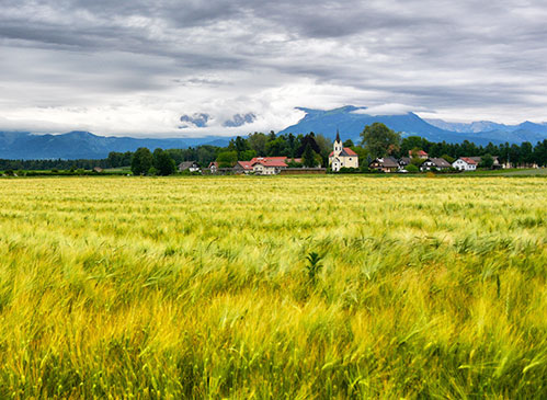 Valburga, Medvode, Občina Medvode